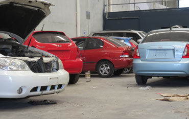 damage free Lights & Bumpers